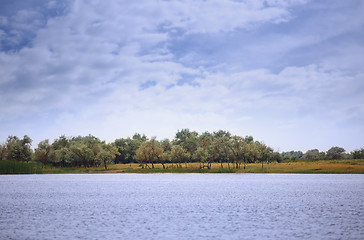 Image showing View on Rhine river with trees