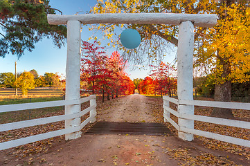 Image showing Tree lined driveway to rural farm land