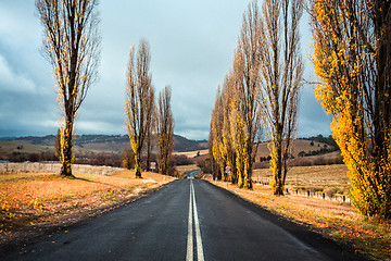 Image showing Country road in Autumn