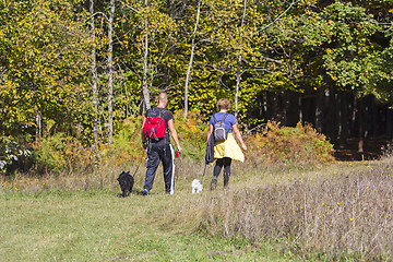 Image showing Young couple are hiking through the forest with their pet dogs