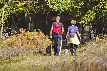 Image showing Young couple are hiking through the forest with their pet dogs