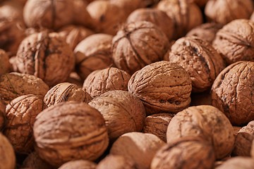 Image showing Walnuts in a pile