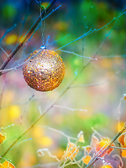 Image showing Christmas ball on the fir branch. Place for inscription.