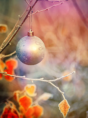 Image showing Christmas ball on the fir branch. Place for inscription.