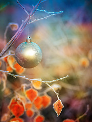 Image showing Christmas ball on the fir branch. Place for inscription.