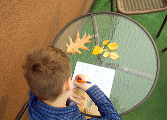 Image showing Boy is doing homework outdoors