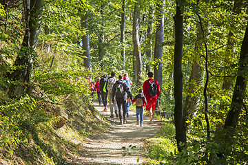 Image showing Group of people walking by hiking trail in forest