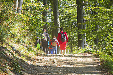 Image showing Group of people walking by hiking trail in forest