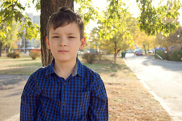 Image showing Happy boy have fun in the autumn park