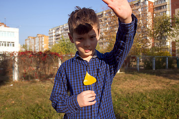 Image showing Boy in the autumn park with yellow leaf