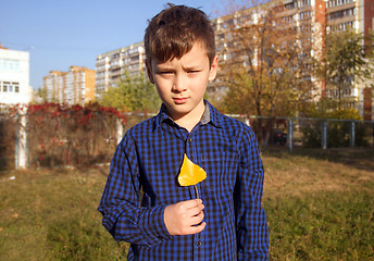 Image showing Boy in the autumn park with yellow leaf