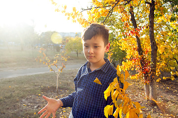 Image showing Happy boy have fun in the autumn park