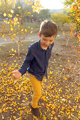 Image showing Happy boy have fun in the autumn park