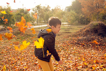 Image showing Happy boy have fun in the autumn park