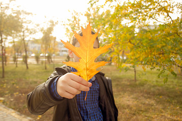 Image showing Happy boy have fun in the autumn park