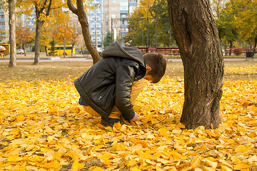 Image showing Happy boy have fun in the autumn park