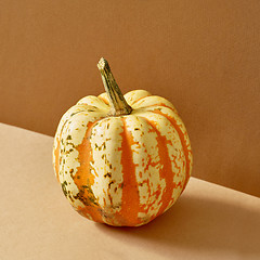 Image showing pumpkin on colored paper background