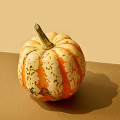 Image showing pumpkin with long shadow