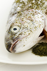 Image showing Prepared salmon