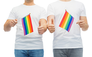 Image showing male couple with gay pride flags showing thumbs up