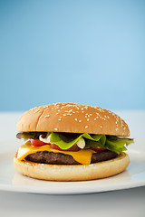 Image showing Cheese burger