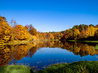 Image showing Colorful autumn forest wood on the lake