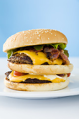 Image showing Cheese burger