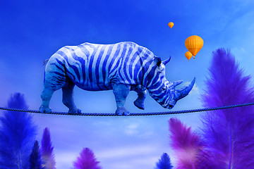 Image showing Blue Rhino walking on rope