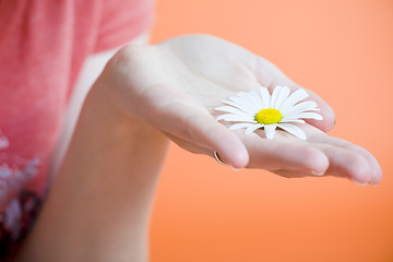 Image showing Hand with flower