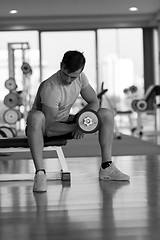 Image showing handsome man working out with dumbbells