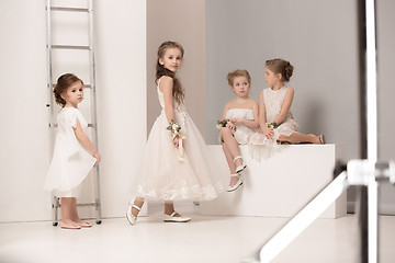 Image showing Little pretty girls with flowers dressed in wedding dresses