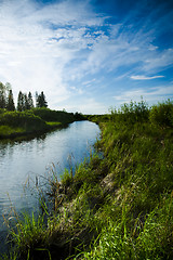 Image showing Wetland marshes