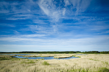 Image showing Wetland marshes