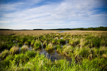 Image showing Wetland marshes