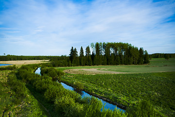 Image showing Wetland marshes