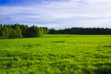 Image showing Wetland marshes