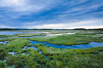 Image showing Wetland marshes