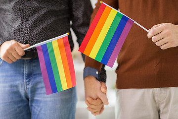 Image showing male couple with gay pride flags holding hands