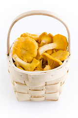 Image showing chanterelles