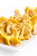 Image showing chanterelles