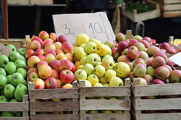 Image showing Organic Apples