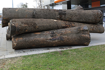 Image showing Logs