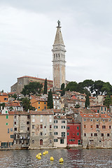 Image showing Rovinj Town