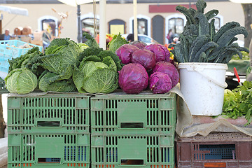 Image showing Cabbage