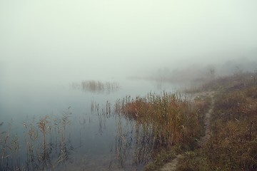 Image showing Fog on the lakeside