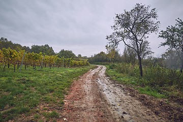 Image showing Dirtroad in the countryside