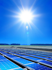 Image showing solar cell array in the field