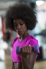 Image showing woman working out in a crossfit gym with dumbbells