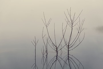 Image showing Lake in fog