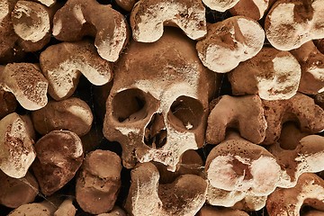 Image showing Skulls and bones in a wall